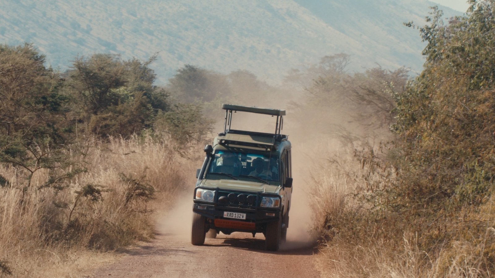 Véhicule de safari sur une piste